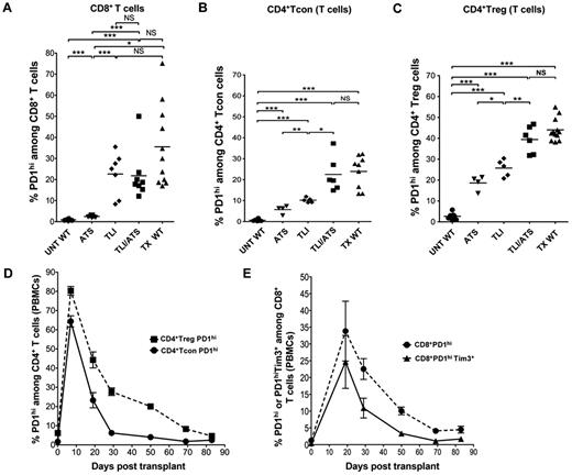 Figure 5. Up-regulation of PD-1 and Tim-3 is induced by TLI and ATS conditioning and declines after transplantation of bone marrow. (A-C) Percentages of PD-1hi cells among gated CD8+ (A), CD4+CD25− (B), or CD4+CD25+ (C) T cells from the spleen are shown in untreated WT BALB/c mice (UNT WT, n = 8), ATS conditioned WT BALB/c mice (ATS, n = 7), TLI conditioned WT BALB/c mice (TLI, n = 7), ATS + TLI conditioned WT BALB/c mice (ATS + TLI, n = 8), and ATS + TLI conditioned WT BALB/c mice given transplants (WT TX, n = 11). (D) Mean percentages (± SEM) of PD1hi cells among CD4+CD25+ T cells (filled square; n = 10), or CD4+CD25− T cells (filled circle; n = 10) in PBMCs at different time points after transplantation in WT BALB/c hosts. (E) Mean percentages (± SEM) of PD1hi among CD8+ T cells (filled circle; n = 10), or PD1hiTim-3+ (filled triangle; n = 10) among gated CD8+ T cells in PBMCs at different time points after transplantation in WT BALB/c hosts.