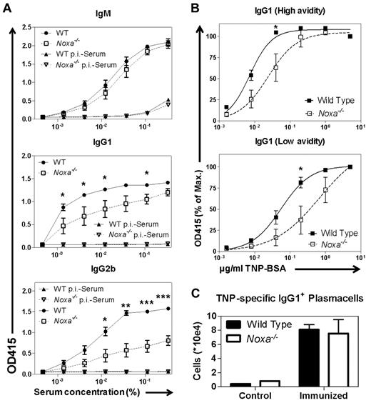 Figure 7. Ablation of Noxa results in memory B-cell responses of reduced quality and quantity. Mice were immunized with TNP-KLH and boosted after 28 days. Seven days after boost, antibody responses were analyzed. (n = 5 per genotype; 1 of 2 experiments with similar results is shown). (A) TNP-specific antibody responses were assessed by ELISA under limiting serum dilutions with fixed TNP-BSA coating (5 ug/mL). Shown are IgM (top), IgG1 (middle), and IgG2b (bottom) responses (WT indicates wild-type; and p.i.-serum, pre-immune serum, sera isolated from mice before immunization). (B) TNP-specific IgG1 antibody responses were assessed by ELISA under limiting TNP-BSA coating, using high (15:1, top panel) and low (4:1, bottom panel) avidity antigen. Results are expressed as percentage of the response at maximum antigen levels. (C) Numbers of TNP-specific IgG1 producing plasma cells in the spleen, measured by ELISPOT. Mean and SEM are shown (*P < .05, **P < .005, and ***P < .0001; Student t test).