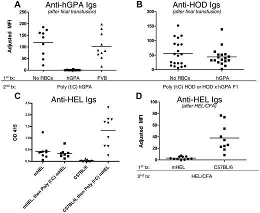 Figure 2. Antigen-specific “nonresponsiveness” persists after subsequent RBC transfusion in the presence of inflammation. (A) Six weeks after hGPA or wild-type FVB RBC transfusion, recipients were challenged with hGPA RBCs in the presence of poly(I:C), with anti-hGPA levels assessed by flow cross-matching after the final transfusion. Compilation of 3 experiments, 29 recipients total. Adjusted mean fluorescence intensity (MFI) was 119 after poly(I:C) hGPA transfusion in the group initially not transfused, 103 in the group initially transfused with hGPA RBCs, and 1 in the group initially transfused with FVB RBCs. P < .0001 between the group initially not transfused and the hGPA group; P = .6 between the hGPA and FVB transfused groups. No anti-hGPA was produced in any group 2 weeks after the initial transfusion. (B) FVB recipients were either not transfused or transfused with hGPA RBCs, then transfused again 6 weeks later with HOD or HOD × hGPA F1 RBCs in the presence of poly(I:C), with anti-HOD assessed by flow cross-matching after the final transfusion. Compilation of 4 experiments, 40 recipients total. Mean adjusted MFI was 56 after poly(I:C) HOD or HOD × hGPA F1 in the group initially not transfused compared with 44 in the group initially transfused with hGPA RBCs (P = .65). No anti-hGPA or anti-HOD was detected in either group after the initial hGPA transfusion, and no anti-hGPA was detected after the final transfusion. (C) B10.BR recipients were transfused with mHEL or control C57BL/6 RBCs and then boosted 6 weeks later with mHEL RBCs in the presence of poly(I:C), with anti-HEL assessed by ELISA 2 weeks after the first and last transfusions. Compilation of 2 experiments with 18 recipients. Mean optical density (OD) was 0.45 before and 0.33 after poly(I:C) mHEL transfusion in the group initially transfused with mHEL RBCs; OD was 0.1 before and 1.1 after poly(I:C) mHEL transfusion in the group initially transfused with C57BL/6 RBCs (P = .004 between groups after the last transfusion). (D) B10.BR recipients were transfused with mHEL or control C57BL/6 RBCs and then injected subcutaneously 6 weeks later with HEL protein emulsified in complete Freund's adjuvant (CFA), with anti-HEL assessed 2 weeks after this immunization by flow cross-matching. Compilation of 2 experiments, 21 recipients total. Adjusted MFI was 3 after HEL/CFA treatment in the group initially transfused with mHEL RBCs compared with 38 in the group initially transfused with C57BL/6 RBCs (P = .0006).
