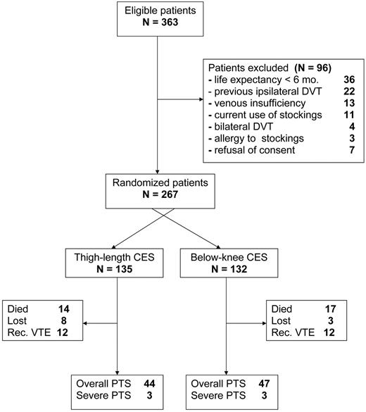 Figure 1. Flow diagram of the study.