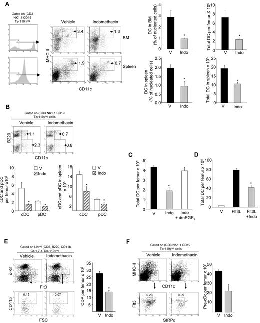 Figure 1. Inhibition of PGE2 biosynthesis reduces DC and DC-committed progenitor cells in mouse BM and spleen. (A left) Representative flow plots show gating strategy to determine DCs in BM (top) and spleen (bottom) of mice treated with indomethacin. (Right) DC frequency of nucleated cells and total DCs per femur (top) and spleen (bottom; mean ± SEM; n = 6 mice in 2 experiments, each assayed individually). (B) Representative flow plots of cDCs (CD11c+ B220−) and pDCs (CD11c+ B220+) in BM. The bar graphs show (left) total cDCs and pDCs per femur, and (right) total cDCs and pDCs in spleen (mean ± SEM; m = 3 mice per experiment, each assayed individually; 2 experiments). (C) Total DCs per femur in mice after treatment with indomethacin with or without dmPGE2 (mean ± SEM; n = 4 mice per group, each assayed individually). (D) Total DCs per femur in mice after treatment with Flt3L with or without dmPGE2 (mean ± SEM; n = 4 mice per group, each assayed individually). (E) Representative dot plots of CDP frequency and average total CDPs per femur in the BM after 6 days of indomethacin treatment (mean ± SEM; n = 3 mice/group in each of 2 experiments). (F) Representative dot plots of pre-cDC frequency and total pre-cDCs per femur (mean ± SEM; n = 3 mice/group in each of 2 experiments). V indicates vehicle; Indo, indomethacin. *P < .05.