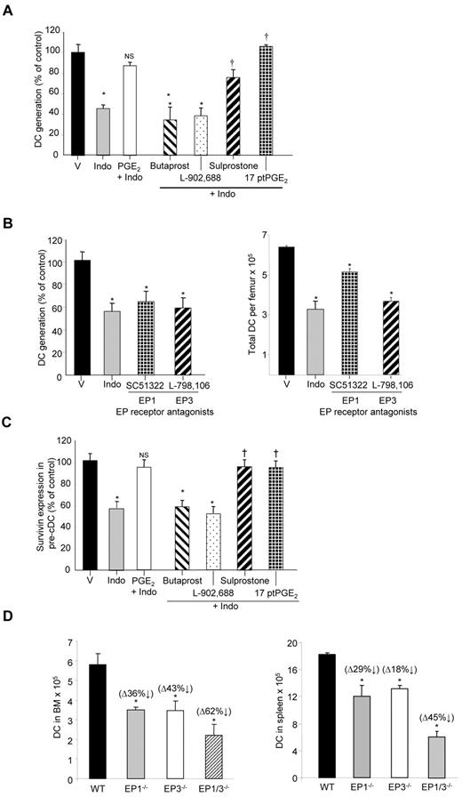 Figure 5. EP1 and EP3 receptors regulate Flt3L-mediated DC development. (A) Linneg BM cells cultured for 9 days in Flt3L-supplemented media with indomethacin alone or with indomethacin plus selective EP receptor agonists, and DC generation was measured by flow cytometry (mean ± SEM; n = 6 mice assayed individually; from 2 experiments). (B left) In vitro, Flt3L-dependent DC generation from Linneg BM cells in the presence of EP1 and EP3 receptor antagonist (mean ± SEM; n = 8 mice assayed individually; from 3 experiments). (Right) Total DC number per femur in mice treated with indomethacin or EP1 or EP3 antagonists in vivo (mean ± SEM; n = 4 mice assayed individually). (C) Linneg BM cells cultured for 5 days in Flt3L-supplemented media with indomethacin alone or with selective EP receptor agonists. Surviving expression in pre-cDC gated cells was determined by flow cytometry (mean ± SEM; n = 3 mice assayed individually). *P < .05 compared with vehicle; †P < .05 compared with indomethacin. (D) Total CD11c+ MHCll+ DCs in the BM and spleen of EP1 and EP3 knockout mice and EP1/EP3 double knockout mice (mean ± SEM; n = 3 mice assayed individually). *P < .05 compared with wild-type control. V indicates vehicle; and Indo, indomethacin.