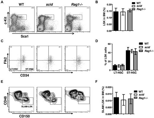 Figure 1. scid mutation does not affect HSC pools. BM cells from scid, Rag1−/−, and WT mice were assayed by multiparameter FACS for proportion of HSC populations. At least 6 age-matched (8-10 weeks old) mice per genotype were compared. Representative FACS profiles of pregated on live, lineage negative cells, Sca1+, c-Kit+ (LSK) are shown in panel A, long-term HSCs (LSK, CD34−, Flk2−) and short-term HSCs (LSK, CD34−, Flk2+) are shown in panel C, and SLAM+ LSK (CD48−, CD150+,LSK) are shown in panel E. Frequencies of HSCs, LT-HSCs, ST-HSCs, and SLAM+LSK in BM from WT, scid, and Rag1−/− mice are analyzed in panels B, D, and F. Error bars indicate SD; significance was determined by a Student 2-tailed t test.