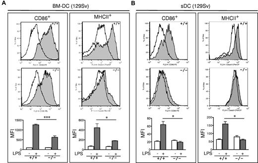 Figure 4. Impaired maturation of Rras−/− BM-DC. (A) BM-DCs in culture for 6 days from Rras+/+ (n = 3) and Rras−/− mice (n = 3) in 129Sv strain were treated without (opened areas) or with (shaded areas) LPS (0.1 μg/mL) for 12 hours. Maturation markers were plotted as histograms on CD11c+ gated cells. MFI values are quantified in the bottom panels. Bars represent SE. ***P < .0005. *P < .05. Similar results were reproduced in an independent experiment (supplemental Figure 3A). (B) Rras+/+ (n = 3) and Rras−/− (n = 3) mice were intraperitoneally injected with 10 μg LPS (0.45 mg/kg). After 6 to 8 hours, the levels of maturation markers were analyzed on CD11c+ gated cells as described in panel A. Bars represent SE. *P < .05. Similar results were obtained in at least 2 independent experiments (supplemental Figure 3C).