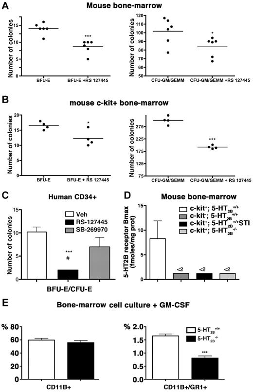 Figure 4. Alterations of BM differentiation after 5-HT2BR inhibition. (A) In mouse BM cells, methyl cellulose cultures, RS-127445 reduced CFU-GEMM/CFU-GEM/BFU-E/CFU-E (n = 3 independent cultures). Statistical difference by unpaired t test versus control is indicated by ***P < .001, *P < .05 versus Vehicle. (B) Similarly, in c-kit+ BM cells, methyl cellulose cultures, RS-127445 reduced CFU-GEMM/CFU-GEM/BFU-E/CFU-E (n = 3 independent cultures). Statistical difference by unpaired t test versus control is indicated by ***P < .001, *P < .05 versus Vehicle. (C) On methyl cellulose cultures of human blood cord CD34+ cells, the 5-HT2BR antagonist RS-127445 significantly reduced expansion of BFU-E/CFU-E, burst-forming unit/colony-forming unit-erythroid, but not the 5-HT1BR antagonist SB-269970 (n = 4 independent cultures). Any statistical difference by unpaired t test versus control is indicated by ***P < .001 versus Vehicle, #P < .05 versus SB-269970. (D) After flow cytometric purification of BM cells, expression of 5-HT2BRs was detected in c-kit+ (CD117 positive) cells (n = 8), but remained undetectable in c-kit− cells (n = 5), c-kit+ cells after STI-571 (STI) treatment (n = 6) or c-kit+ cells from 5-HT2B−/− mice (n = 5). (E) On ex vivo expansion of total BM cells in the presence of GM-CSF driving the monocyte/macrophages and all granulocytes differentiation, the lack of 5-HT2BRs significantly reduced the number of CD11b+/Gr+ cells (n = 3-5 mice of each genotype). Any statistical difference by unpaired t test versus control is indicated by ***P < .001 versus 5-HT2B+/+ culture.