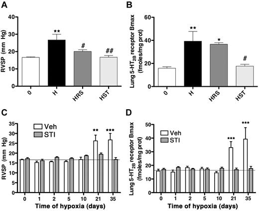 Figure 5. Blocking c-kit activity prevents pulmonary hypertension and 5-HT2BR overexpression. Groups of 10 WT mice were exposed to hypoxia (10% 02) for 5 weeks (H), and in the presence of either RS-127445 (0.5 mg/kg-HRS), or STI-571 (1 mg/kg-HST) and compared with normoxic mice (0). (A) The significant increase in hypoxia-induced RVSP was totally prevented by RS-127445 or STI-571. (B) Chronic hypoxia increased significantly the maximal number of lung 5-HT2BR specific binding sites (Bmax), which was not significantly prevented by RS-127445, but STI-571 did prevent this increase. (C) Groups of 10 WT mice were exposed to hypoxia (10% 02) for 0 to 35 days in the presence of vehicle (Veh) or STI-571 (STI; 1 mg/kg). The significant increase in hypoxia-induced RVSP observed at 21 and 35 days was totally prevented by STI-571 with similar kinetic. (D) Chronic hypoxia increased significantly the maximal number of lung 5-HT2BR specific binding sites (Bmax) at 21 and 35 days, which was significantly prevented by STI-571 with similar kinetic. Values are means ± SEM (n = 10, P < .05), and are representative of at least 2 independent experiments. Straight lines are normoxic values. Any statistical difference by 1-way ANOVA followed by Bonferroni posthoc test versus normoxic untreated control values is indicated by * and versus chronic hypoxia values by a #; ***P < .001; **P < .01; *P < .05; ##P < .01; #P < .05.
