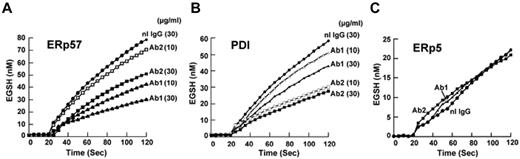 Figure 2. Differential inhibition of purified ERp57 and PDI by rabbit anti-ERp57 Ab 1 and Ab 2. (A-C) The activity of ERp57, PDI, or ERp5 in the presence of Ab 1 (Ab1) and Ab 2 (Ab2) at 10 μg/mL or 30 μg/mL, or normal rabbit IgG (nL IgG) at 30 μg/mL. The amount of EGSH (nM) formed from Di-E-GSSG in the presence of enzyme over 120 seconds is shown. Each point is the composite of at least 3 samples (nL IgG, ●; Ab1 10 μg/mL, ▵; Ab1 30 μg/mL, ▴; Ab2 10 μg/mL, □; Ab2 30 μg/mL, ■). Inhibition was not increased with 60 μg/mL of either Ab (not shown). For these curves, the enzyme was added at ∼ 20 seconds.