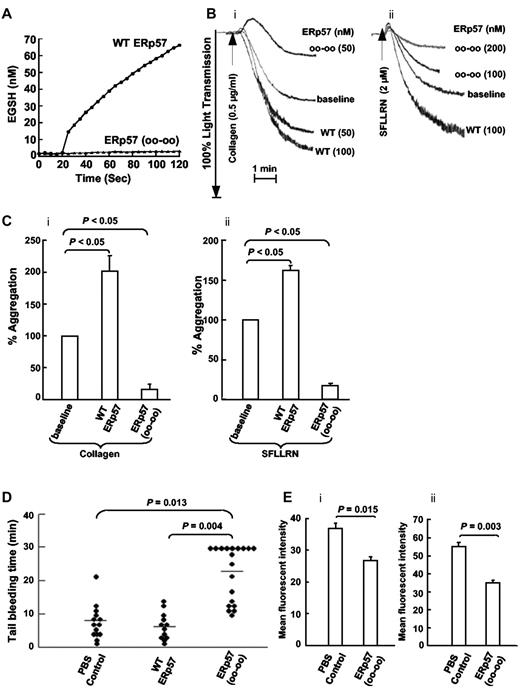 Figure 4. Wild-type ERp57 potentiates platelet aggregation and an inactive mutant ERp57 inhibits aggregation, prolongs the tail bleeding time in mice, and inhibits activation of αIIbβ3 and P-selectin expression ex vivo. (A) ERp57 with the 4 active site cysteines mutated to serine (oo-oo) is catalytically inactive. (B) Submaximal aggregation (baseline) was stimulated with collagen or the SFLLRN peptide. The potentiating effect of preincubating the platelets with purified wild-type ERp57 (WT ERp57) in the concentrations indicated is seen. The inhibitory (i) effect of adding the inactive (ii) mutant ERp57 (oo-oo) in the concentrations indicated is also seen. (C) The cumulative data ± SE of at least 3 different experiments, showing potentiation of aggregation by WT ERp57 and inhibition by the mutant ERp57 (oo-oo) relative to the baseline aggregation (i, collagen; ii, SFLLRN). The concentration of WT or mutant ERp57 that provided maximal potentiation or inhibition of responses varied a little between experiments. Fifty to 100nM WT or mutant ERp57 generally gave maximal potentiation and inhibition responses with collagen; 100 to 200nM of WT or mutant ERp57 provided maximal responses with the SFLLRN peptide. In these studies the enzymes were added for 10 minutes before the addition of the agonist. (D) The PBS control, 100 μg of WT ERp57, or 100 μg of the mutant ERp57 (oo-oo) were infused into mice, and the tail bleeding times were recorded up to 30 minutes. Horizontal bars represent mean bleeding times. (E) Results of ex vivo studies of platelets prepared from mice infused with PBS (control) or inactive ERp57 (oo-oo). The platelets were activated with convulxin (500 ng/mL) and activation of (i) αIIbβ3 (measured by binding of the JON/A Ab) and (ii) P-selectin expression were determined (n = 3).