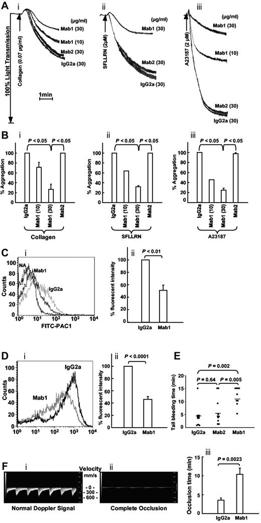 Figure 6. The inhibitory monoclonal anti-ERp57 Ab inhibits platelet aggregation, activation of αIIbβ3, P-selectin expression, and prolongs the tail bleeding times and the time to thrombosis in mice. (A) Representative tracings show Mab1 but not Mab2 inhibits aggregation of human platelets stimulated with collagen (i), the peptide SFLLRN (ii), or calcium ionophore (ii; A23187). (B) The combined data ± SE for at least 3 separate experiments (for collagen (i) and SFLLRN (ii), Mab1 at 10 μg/mL also inhibited aggregation to a P < .05 compared with either the IgG2a or Mab2 controls.) Calcium ionophore (iii) was used with platelets preincubated with apyrase (10 U/mL) and MeSAMP (100μM). (Ci) Mab1 inhibits PAC1 binding to SFLLRN (1μM)–activated platelets. PAC1 binding to nonactivated platelets (NA) is seen on the left. (ii) The results of inhibition of PAC1 binding as the percentage of fluorescent intensity relative to the normal IgG2a control ± SE (n = 3). (Di) A representative histogram and (ii) the combined data show the inhibitory monoclonal anti-ERp57 Ab Mab1 inhibits P-selectin binding to convulxin (10 ng/mL)–activated platelets relative to normal IgG2a ± SE (n = 7). (A-D) The platelets were preincubated with the inhibitory mAb (Mab1), noninhibitory Ab (Mab2), or control mouse IgG2a at 30 μg/mL for 10 minutes before the addition of the agonist. (E) A total of 200 μg of each Ab was infused into mice and the tail bleeding time recorded up to 15 minutes. Horizontal bars represent mean bleeding times. (Fi) The systolic and diastolic mouse carotid artery blood velocity monitored in mm of blood per second (mm/s) using the small animal Doppler probe with the Visual Sonics Vevo2100 flowmeter. (ii) Complete occlusion of blood flow after treatment with FeCl3. (iii) Mab1 inhibits FeCl3-induced occlusion relative to the normal mouse IgG2a control (n = 8). In these experiments, the carotid artery was treated with 5% FeCl3 for 2 minutes as described in “Studies using FaCl2-induced thrombosis of the carotid artery. A total of 450 μg of the control IgG2a or Mab1 were infused immediately before the filter paper soaked in 5% FeCl3 was applied to the carotid artery.”