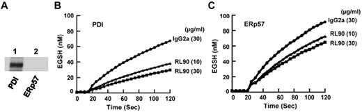 Figure 7. The monoclonal anti-PDI Ab RL90 cross-reacts with ERp57 in the Di-E-GSSG assay. (A) Lack of cross- reactivity by Western blot to ERp57. (B) The inhibition of PDI. (C) The inhibition of ERp57 by RL90, at 10 μg/mL and 30 μg/mL relative to an isotype specific monoclonal mouse IgG2a Ab (30 μg/mL); 60 μg/mL did not provide more inhibition of PDI or ERp57 with the curves overlapping with the curves for 30 μg/mL. The amount of EGSH formed over 120 seconds from Di-E-GSSG is shown with the enzyme added at ∼ 20 seconds.