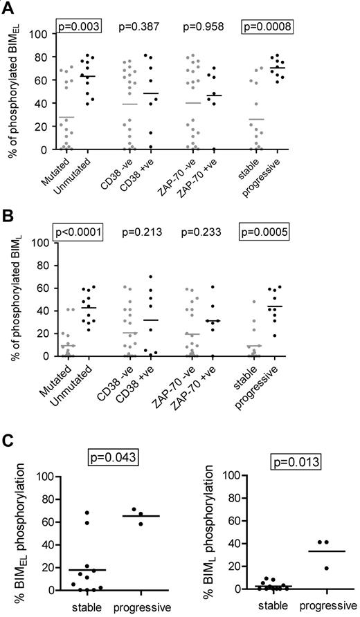 Figure 2. Correlations with anti-IgM–induced BIM phosphorylation in CLL cells. Correlations between maximum IgM-induced phosphorylation of (A) BIMEL or (B) BIML and prognostic markers and stable/progressive disease. (C) Correlations in the M-CLL subset, between maximum anti-IgM–induced phosphorylation of BIMEL and BIML and stable/progressive disease. Graphs all show individual data points as well as means (horizontal line). Statistically significant differences between groups according to the Mann-Whitney statistical test are boxed (P < .05).