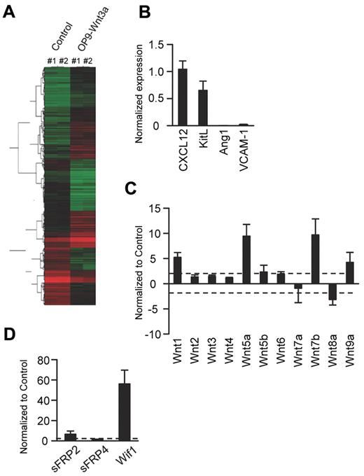 Figure 3. Gene-expression patterns suggest that Wnt3a initiates osteoblastic differentiation of OP9 stromal cells. (A) Microarray analyses were conducted comparing Wnt3a-transduced and vector-transduced OP9 stromal cells. The genes were grouped using a hierarchical clustering technique based on patterns of expression, and the heat map shows the hierarchical relationships. Each column represents results from 2 independent experiments that gave nearly identical results. (B) RT-PCR was then used on freshly isolated mRNA to evaluate the expression of hematopoiesis-supporting genes. (C-D) A PCR array was used to assess expression of Wnt ligands and Wnt modulator genes. The results in each panel represent Wnt3a transduced as fold changes from vector control samples. The direction of changes were similar in 3 independent experiments, and pooled results are given ± SD.