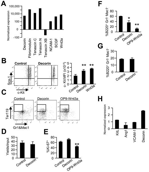 Figure 4. Wnt3a induces expression of matrix molecules, and one of them mediates most Wnt3a-regulated changes in murine hematopoiesis. (A) RT-PCR was performed using Wnt3a-transduced OP9 stromal cells. The results are expressed as the fold changes relative to the vector control OP9 cells and are representative of those obtained in 3 independent experiments. (B) Murine Lin−Sca-1+c-KithiFlk-2− HSCs were then cocultured with decorin plus OP9 or on OP9-Wnt3a in the presence of IL-7, SCF, and FL for 3 days. Levels of c-Kit are shown as typical histograms or mean fluorescence intensities (MFI). (C) Lin−Sca-1+c-KithiRag1-GFP+ ELPs were held for 3 days in primary cultures before subculture in stromal cell–free, erythropoiesis-supporting conditions. After an additional 2 weeks of culture, the generation of Ter119+ erythroid cells was analyzed using flow cytometry. (D) Numbers of Ter119+ erythroid cells were determined by flow cytometry after Lin−Sca-1+c-Kithi cells were held for 2 weeks of culture under stromal cell–free, erythroid-supporting conditions. (E) Proliferation of Lin−Sca-1+c-KithiFlk-2− HSCs was unaffected by decorin, as reflected in Ki-67 staining. (F-G) The influence of recombinant decorin on B lymphopoiesis was tested with 1-week stromal cell cocultures (F) or stromal cell–free cultures (G) initiated with ELPs. Generation of B220+ lymphocytes in triplicate wells ± SD is shown. (H) The same transmembrane culture system shown in Figure 2D was used to analyze gene-expression patterns in OP9 cells exposed to diffusible Wnt3a produced by transduced cells in the lower wells. Similar results were obtained in 3 independent experiments. Statistical significance was determined by unpaired 2-tailed t test analysis: *P < .05; **P < .01.