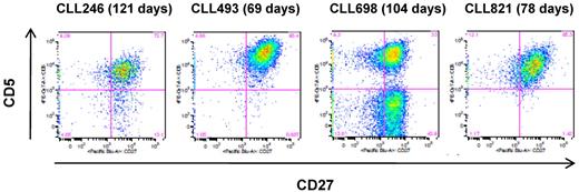 Figure 2. Surface expression of CD5 on the EBV-transformed B-CLL cells. The cells were cultured in the presence of irradiated J774A.1 cells for the indicated period of time. The flow cytometric analysis was performed on the CD19+ cell population. The number in parentheses indicates the total number of days in culture in the presence of irradiated J774A.1 cells.