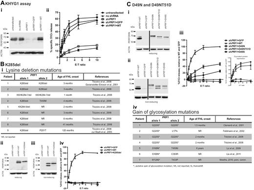 Figure 2. Patient's perforin mutations, D49N and K285del, are detrimental to NK cell cytotoxicity. (A) KHYG1 cells were virally transduced with nonsilencing (ns) shRNA or shPRF1 constructs to down-regulate perforin expression. Perforin expression was then restored in KHYG1 shPRF1 cells by virally transducing cells with WT-perforin construct (KHGY1 shPRF1+ WT). KHYG1 shPRF1 cells were also transduced with the empty vector for control (KHYG1 shPRF1+ GFP). (i) Western immunoblot shows the relative amounts of perforin expression in each of the stable KHYG1 cell populations. (ii) Four-hour 51Cr release assays, against target K562 cells at the effector/target (E:T) ratios indicated, show a 90% reduction in function in KHYG1 shPRF1 cells and full restoration in KHYG1 shPRF1+ WT cells. Data are mean ± SE of 8 independent experiments. (Bi) Table shows patients 1 to 9 identified in the literature who inherited deletion mutations in the intensely basic (282KKKKHK) region of PRF1. (ii-iv) KHYG1 shPRF1 cells were virally transduced with K285del-perforin, sorted on the basis of identical mean GFP fluorescence (compared with KHYG1 shPRF1+ GFP and KHYG1 shPRF1+ WT cells), and then analyzed for perforin expression and cytotoxicity. For clarity, background levels seen for KHYG1 shPRF1+ GFP cells were subtracted from total 51Cr release levels (to reflect the activity of reintroduced recombinant perforin) and standardized against WT-perforin at a 10:1 E/T ratio. Data are mean ± SE of 3 independent experiments. (Ci-iii) KHYG1 shPRF1 cells were virally transduced with D49N- and D49NT51D-perforin, sorted on the basis of identical mean GFP fluorescence (compared with KHYG1 shPRF1+ GFP and KHYG1 shPRF1+ WT cells), and then analyzed for perforin expression and cytotoxicity. The values plotted represent standardized 51Cr release levels, as described in subpanels ii through iv. The data shown are mean ± SE of 7 independent experiments. (iii inset) Perforin-expressing KHYG1 shPRF1 cells were sorted to achieve identical protein expression and analyzed for perforin cytotoxicity. The values plotted represent standardized 51Cr release levels (as described in subpanels ii-iv). Data are mean ± SE of 3 to 5 independent experiments for each cell line. Corresponding Western blots are shown in supplemental Figure 4. (iv) Table lists FHL patients who inherited putative gain of glycosylation mutations in perforin.