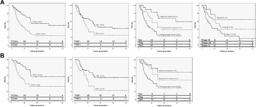 Figure 1. DSS curves of independent parameters in patients with transformed MF. (A) Curves for total group of patients with transformed MF (n = 100), indicating CD30 expression, folliculotropic MF (FMF), extent of skin lesions, and clinical stage, respectively. (B) Curves for subanalysis of patients with only skin lesions and LCT (n = 75), indicating CD30 expression, FMF and extent of skin lesions. * indicates number of persons at risk at the specified times after diagnosis of transformed MF.