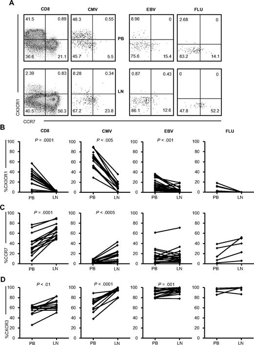 Figure 3. Chemokine receptor expression on (virus-specific) CD8+ T cells in the PB and LNs. (A) Representative dot plots of CCR7 and CX3CR1 staining on total (n = 15), CMV-specific (n = 10, 5 donors were analyzed with 2 different tetramers), EBV-specific (n = 7, 4 donors were analyzed with 2 tetramers and 2 with 3 tetramers), and FLU-specific (n = 5) CD8+ T cells. Comparison of percentages of CX3CR1-expressing (B), CCR7-expressing (C), and CXCR3-expressing (D) cells within total and CMV-, EBV-, and FLU-specific CD8+ T cells between PB and LNs. All panels represent from left to right: total, CMV-, EBV-, and FLU-specific CD8+ T cells. Paired samples were analyzed using the Wilcoxon signed-rank test.