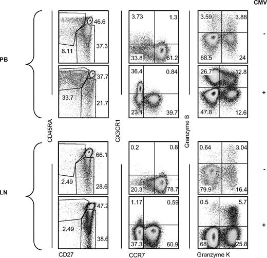 Figure 7. Summarizing phenotypic comparison of PB- and LN-derived CD8+ T cells. Representative dot plots of CMV-seronegative (n = 4 CD27/CD45RA and CCR7/CX3CR1, n = 2 granzyme B/K, top rows in each panel) and CMV-seropositive (n = 10 CD27/CD45RA and CCR7/CX3CR1, n = 9 granzyme B/K, bottom row in each panel) PB (top panel) and LN (bottom panel) CD8+ T cells analyzed for expression of CD27 and CD45RA, CCR7, CX3CR1, granzyme K, and granzyme B.