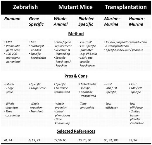 In vivo systems for production of transgenic platelets