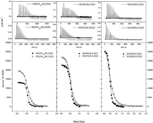 Figure 2. Thermodynamic analysis of VEGFR-2 D23 and full-length ECD binding to VEGF ligands. Top 2 rows show raw titration data of VEGFR-2 D23 and full-length ECD, respectively, with VEGF-A121, VEGF-C, and VEGF-E. Bottom row shows integrated and concentration normalized isothermograms. Solid lines represent the best fit according to the “One Set of Sites” model.