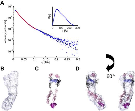 Figure 3. SAXS analysis of the VEGF-E/VEGFR-2 ECD complex. (A) Scattering intensity and distance distribution function showing scattering data (blue dots), DAMMIF fit (red line), and SASREF fit (black dashed line). (B) Ab initio shape reconstruction of the VEGF-E/VEGFR-2 ECD complex. The mesh represents the average structure of 20 independent shape reconstructions. (C) Rigid-body homology modeling of the SAXS data to deduce the possible arrangement of the individual domains. VEGF-E is shown in blue; VEGFR-2 D23 is shown in dark gray; domains D1, D4, D5, and D6 modeled by c-KIT domains D1, D4, D5, and D5 (pdb 2E9W), respectively, are shown in pink; and the D7 dimer of VEGFR-2 is shown in purple (pdb 3KVQ). (D) Overlay of the independent ab initio and rigid-body homology models derived from SAXS data.