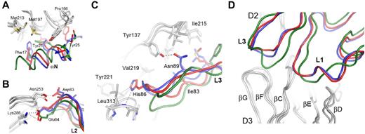 Figure 5. Binding interfaces between the aminoterminal helices (αN) and loops L1-L3 of the VEGFs and VEGFR-2 D2 and D3, representing the major ligand-binding domain. Key residues are highlighted and labeled using VEGFR-2 and VEGF-A numbering, except for Asn89 of VEGF-E. VEGF-A is shown in red, VEGF-C is shown in green, VEGF-E is shown in blue, and VEGFR-2 D23 is shown in gray. Hydrogen bonds and salt bridges are shown by gray dashed lines. In panel A, the view is centered on the aminoterminal helices (αN) of VEGFs, and in panel B, on the contacts between L2 of VEGF with D3 of the receptor. (C) Interaction of loop L3 of VEGFs with VEGFR-2 D23. Hydrogen bonds and hydrophobic interactions for VEGF-A His86 and VEGF-E Asn89 are shown by gray dashed lines. (D) The binding interfaces between loops L1 and L3 of the VEGFs with VEGFR-2.