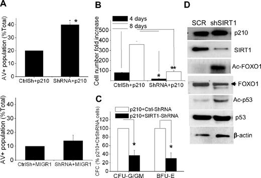 Figure 5. SIRT1 inhibition suppresses growth and induces apoptosis of BCR-ABL–transduced CD34+ cells. (A) Apoptosis of MIG210- or MIGR1-transduced normal CD34+ cells with mock (CtrlSh) or SIRT1 (shRNA) knockdown. The double-transduced CD34+ cells were sorted and then analyzed for annexin V+ cells after 48 hours of culture in low concentrations of growth factors similar to those present in long-term BM culture stroma-conditioned medium. (B-C) Analysis of total cell numbers (B) and CFC formation (C) of MIG210-transduced normal CD34+ cells with mock or SIRT1 knockdown. *P < .05; **P < .01. (D) Increased acetylation of FOXO1 and p53 after SIRT1 knockdown in MIG210-transduced normal CD34+ cells.