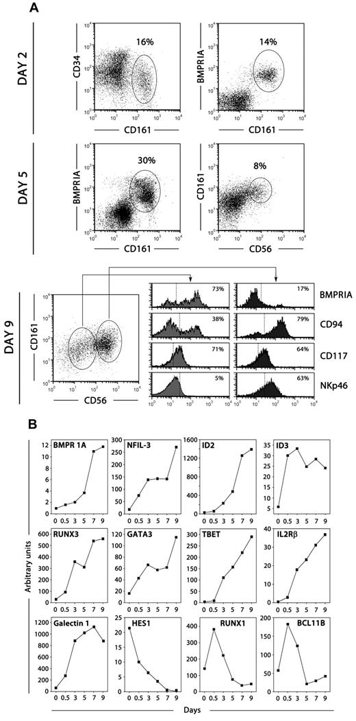 Figure 3. BMPRIA expression during NK cell development. (A) Thymic CD34+CD1a− BMPRIA− precursor cells were cultured with SCF and IL-15 for different days and then analyzed by flow cytometry for the expression of CD34, CD161, BMPRIA, CD56, CD94, CD117, and NKp46. Representative phenotypic analyses of total cells harvested at different days of culture are shown. Percentages of positive cells are indicated in dot plots and histograms. (B) Quantitative RT-PCR analysis of the expression of BMPRIA and genes relevant for NK cell development was performed on cells derived from thymic precursors cultured with SCF and IL-15 for different days. Gene expression levels were normalized to GNB2L-1 mRNA content. The data are representative of at least 3 separate experiments.