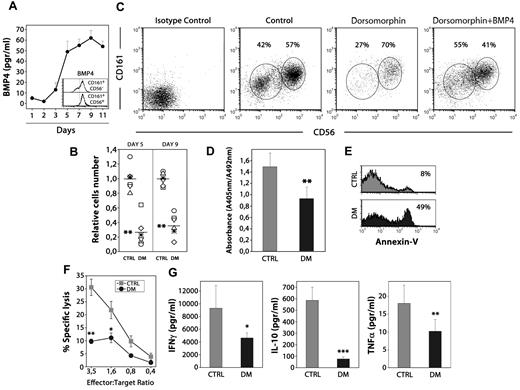 Figure 4. BMP signaling influences human NK differentiation. (A) The levels of BMP4 were determined by ELISA in the supernatants obtained culturing human thymic CD34+CD1a−BMPRIA− precursors with SCF and IL-15 for different days. Data represent the mean ± SD from 3 to 4 independent experiments. Histograms show intracellular staining for BMP4 on immature CD161+CD56− and mature CD161+CD56+ NK cells generated after 7 days of culture. (B) The scatter plots show the effects on cell recovery when the BMP inhibitor dorsomorphin was added to the cultures. The number of cells recovered in each experiment was divided by the mean number of cells recovered from the control cultures, to give the relative cell number from 6 individual experiments (**P ≤ .01 by t test). (C) Dot plots show CD161 versus CD56 expression from control and dorsomorphin-treated cultures after 9 days. As shown, the addition of BMP4 neutralized the inhibitory effect of dorsomorphin on human NK cell differentiation. (D) Determination of the proliferation rate of differentiating NK cells after 5 days of culture. Cells were pulsed for 12 hours with BrdU. A specific kit was used to measure BrdU incorporation into newly synthesized DNA. Results are the mean ± SD of 4 independent experiments, each with 2 cultures per point (**P ≤ .01 by t test). (E) Annexin V staining was measured by flow cytometry in NK cells harvested from control and dorsomorphin-treated cultures on day 5. Data are representative results from 3 independent experiments. (F) Equal numbers of NK cells generated in dorsomorphin-treated cultures (black circles) and untreated cultures (gray squares) were stimulated with IL-15 + IL-12 for 12 hours and assayed in a 4-hour standard cytotoxicity assay against K562 target cells at different effector-to-target ratios (E:T) in duplicate wells. The mean percentage of specific lysis ± SD is represented (n = 6 different individuals) for each E:T ratio (*P ≤ .05, **P ≤ .01 by t test). (G) NK cells (3 × 105 cells) recovered from control (gray bars) and dorsomorphin treated-cultures (black bars) were stimulated for 12 hours. Supernantants were collected and analyzed for the presence of IFN-γ, IL-10, and TNFα (*P ≤ .05, **P ≤ .01, and ***P ≤ .001 by t test).