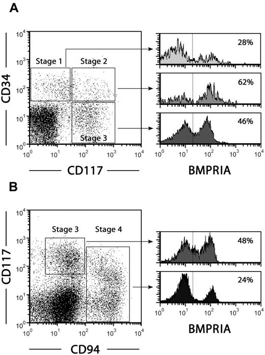 Figure 6. Expression of BMPRIA in NK cell precursors from human lymph nodes. Lymph node mononuclear cells were used to analyze BMPRIA expression on stage 1-4 NK cell precursors. (A) Dot plot shows the expression of CD34 and CD117 in Lin− (CD3−, CD19−, CD14−, CD94−) cells. Histograms show BMPRIA expression on stage 1 CD34+ CD117− CD94−pro-NK cells, stage 2 CD34+ CD117+ CD94− pre-NK cells and stage 3 CD34− CD117+ CD94−committed immature NK cells. The percentages of positive cells are indicated in each histogram. (B) Dot plot shows the expression of CD117 and CD94 in Lin− (CD3−, CD19−, CD14−, CD34−) cells. Histograms show BMPRIA expression on stage 3 CD34− CD117+ CD94−immature NK cells and stage 4 CD34− CD117+/− CD94+ NK cells. The percentages of positive cells are indicated in each histogram. Data are representative of 3 independent experiments.