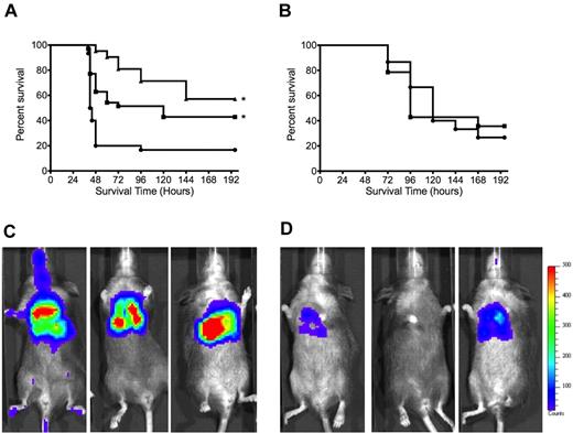 Figure 1. Effect of hydroxyurea therapy on pneumococcal pneumonia. (A) Mean overall survival of SCA mice receiving hydroxyurea (squares) or saline (circles) or mock-transplanted mice receiving saline (triangles) after pneumococcal challenge (*P < .01 compared with SCD saline by Mantel-Cox log rank test). n = 31, SCA saline; n = 35, SCA hydroxyurea; n = 21, mock transplanted from at least 3 independent experiments; P = .0028 for SCA saline vs SCA hydroxyurea. No significant difference (P = .12) observed between mock-transplanted and SCD hydroxyurea groups. (B) Survival of nontransplanted wild-type mice (C57/bl6) receiving hydroxyurea (squares) or saline (circles) after pneumococcal challenge. n = 15/group (P = .93; statistical comparisons by Mantel-Cox log rank). Bacteria were introduced by intranasal administration in 25 μL of saline: 5 to 8 × 105 CFUs for transplanted mice and 2 × 106 CFUs for nontransplanted C57/bl6 mice. Representative Xenogen images of bioluminescent pneumococci indicating the progression of disease in (C) saline- and (D) hydroxyurea-treated SCA mice at 24 hours after challenge. Color intensity correlates with bacterial density (blue indicates low titer; and red, high titer).