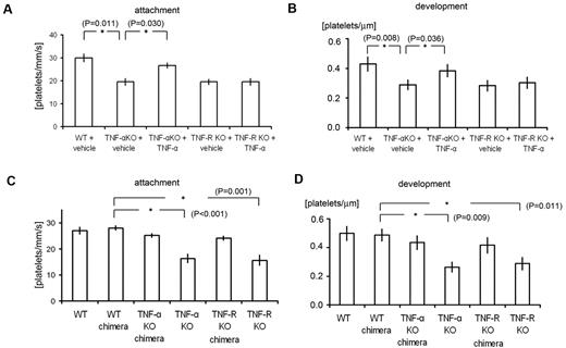 Figure 3. Analysis of TNF-α chimeric mice and the effects of TNF-α administration revealed the importance of inflammatory cytokine signaling in ECs in our thrombosis model. (A-B) Quantification of platelet attachment and thrombus development after laser/ROS-induced injury in 12-week-old male TNF-α and TNF-R1 KO mice and their wild-type (WT) mice treated with vehicle (PBS) or TNF-α (100 ng/kg; n = 30 vessels from 5 animals for each group). Recombinant TNF-α restored impaired thrombus formation in TNF-α–deficient mice but not in TNF-R1–deficient mice. (C-D) Platelet attachment and thrombus development after laser/ROS injury assessed in WT, WT-chimeric, TNF-α KO-chimeric, TNF-α KO, TNF-R1 KO-chimeric, and TNF-R1 KO mice. None of the chimeric mice showed impaired thrombus formation, in contrast to the total TNF-α KO and TNF-R1 KO mice, indicating that cell types other than blood cells contribute to thrombus formation in our model. Asterisks indicate statistical significance (P < .05).