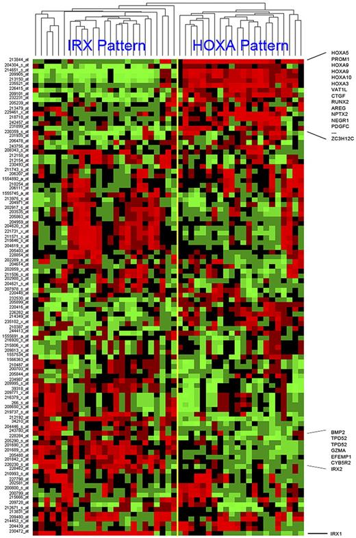 Figure 3. Hierarchical clustering of MLL-AFF1 cases using top 100 SD probe sets. The top 100 probe sets, ranked by SD, were used to cluster the 48 MLL-AFF1 cases. The yellow bar indicates the branch point defining the 2 major cluster patterns. These patterns are named after the family of homeobox genes most commonly and highly expressed by its members (IRX or HOXA). Samples are shown in columns and probe sets are in rows. Captions across the right indicate the positions of some of the more conserved genes across a cluster. Increasing (red) or decreasing (green) gene expression is shown relative to the median (black) for each gene.