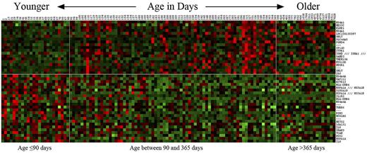 Figure 5. Heat map of probe sets associated with patient age. The top 43 probe sets associated with age (as a continuous variable) at the significance level FDR = 15% were used to generate a heat map. Patients are ordered from left to right by ascending age. In addition to the 97 infant ALL patients, 21 pediatric MLL cases are included. Vertical white lines indicate the positions of age landmarks, and the horizontal line separates between the probe sets whose expressions are positively (top) and negatively (bottom) correlated with age. Age of patients is indicated across the top.