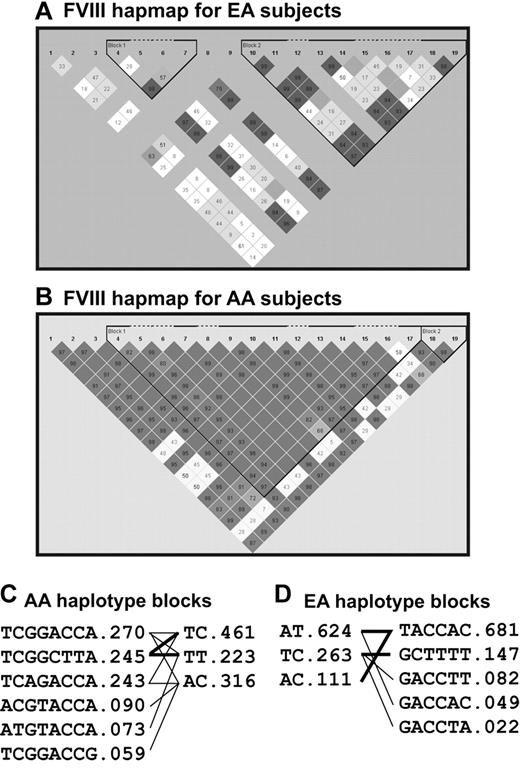 Figure 2. Haplotypes constructed from 19 available FVIII SNPs in a cohort of 10 434 subjects.
