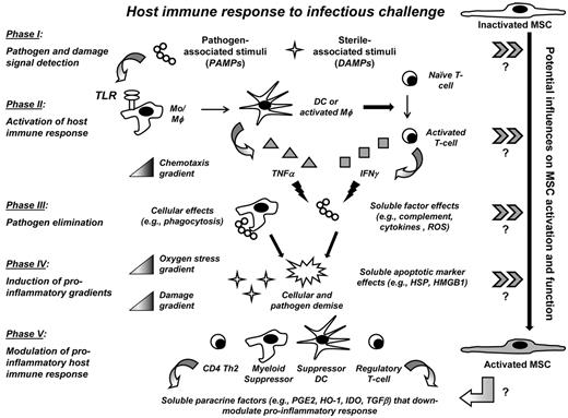 Figure 3. The host immune response to infectious challenge affords multiple potential signals for BMSC activation. TLRs recognize PAMPs and DAMPs within the microenvironment. The microenvironment milieu is the composite of resident and immigrating hematopoietic and nonhematopoietic cells responding to pathogen and the associated constitutive and inducible soluble factors that these cells produce. During infectious challenge, TLR ligands activate immune effector cells, such as DCs, monocytes, and macrophages (Mo/Mφ), and T cells to produce pro-inflammatory cytokines and chemokines. These soluble factors in turn activate additional host defense responses, including recruitment of immune effector cells (chemotaxis gradient). Pathogen is eliminated directly through immune effector cells themselves (eg, phagocytosis) and by the antimicrobial soluble factors they produce (eg, TNF-α and IFN-γ). Resultant pathogen cell necrosis and tissue toxicity release additional DAMPs, which accumulate and form pro-inflammatory damage and oxygen stress gradients. To preserve host integrity, regulatory hematopoietic cells, also activated by PAMPs and DAMPs, function to counter inflammation through the production of anti-inflammatory and antioxidant paracrine soluble factors. BMSCs possess TLRs, which could potentially recognize pathogen and danger signals and activate BMSCs to function as nonhematopoietic immunomodulatory cells during infection. Block arrows (≫) indicate potential influences within each phase of host response to infection that may influence BMSC activation and function. Further investigation is needed to confirm these putative signals.
