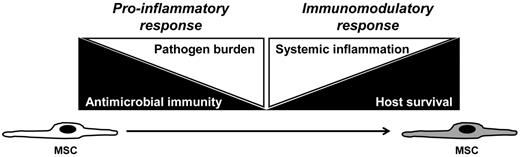 Figure 4. Proposed plasticity in BMSC response and function during infectious challenge. To decrease infectious burden (left white triangle), the host requires intact immunity (left black triangle). That is, level of pathogen burden in the host inversely correlates with host immune competency. BMSCs may act as pro-inflammatory agents in the initial stages of the host response to infectious challenge, thereby decreasing pathogen burden by augmenting antimicrobial immune responses. However, high-level, persistent systemic inflammation (right white triangle) ultimately results in decreased host survival (right black triangle). Therefore, BMSCs may assume an immunomodulatory function to dampen the pro-inflammatory response associated with host immune response to pathogen. In this regard, BMSCs might maintain immune homeostasis after infectious challenge, by preserving host integrity through mediating initial pro-inflammatory, antimicrobial effects and then shifting function to attenuate inflammation and to augment tissue repair.