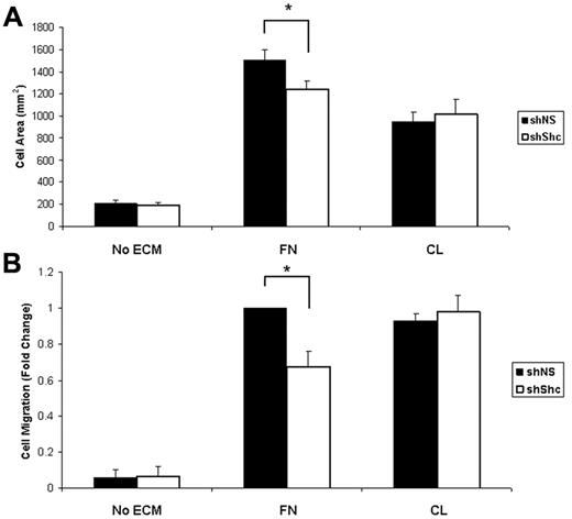 Figure 4. Shc is required for integrin-mediated spreading and haptotaxis on FN but not CL. (A) Shc is required for cell spreading on FN. Equal numbers of lentivirus-infected HUVECs were seeded on coverslips coated with 10 μg/mL of FN, 10 μg/mL of CL, or vehicle (PBS) and allowed to spread for 25 minutes. The cell area was measured using ImageJ software. Values shown are means ± SEM (n = 2 independent experiments, > 100 cells counted per condition per experiment). (B) Haptotaxis was measured using Boyden chambers coated on the underside with 10 μg/mL of FN, 10 μg/mL of CL, or vehicle (PBS) and blocked with 3% BSA. Cells that had migrated to the underside of the chamber were counted using an inverted microscope. Five random fields were imaged per filter. Values shown are means ± SEM (n = 3 independent experiments, 2 filters per condition per experiment). *P < .05