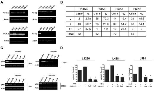 Figure 1. GS-1101 selective inhibition of PI3Kδ inhibits Akt phosphorylation. (A) PI3K isoform expression is confirmed in HL cell lines. Proteins from 106 cells were separated by SDS-PAGE, transferred onto PVDF membranes, and analyzed by immunoblotting using antibodies specific for the α, β, δ, and γ isoforms. Purified recombinant PI3K proteins were used as controls (data not shown). Antiactin antibodies were used to assess equal loading of the samples. (B) Expression of PI3K isoforms in HL tumor samples. The number and percentage of cases positive for each isoform are shown. The intensity of expression is indicated as negative (−), weak (+), or strong (++). PI3Kα and δ were the isoforms more frequently expressed in tumor samples; they were detected in 97.2% and 80.6% of the cases, respectively. Strong expression of PI3Kα and δ was detected in 37.5% and 26.4% of cases, respectively. Protein expression was scored as −, +, or ++ depending on the staining signal intensity. Expression of each isoform in the Hodgkin RS cells was compared with that seen in positive control; if higher or equal, then expression of each p110 isoform was considered ++; and if lower, then expression was considered + (supplemental Figure 1). (C) GS-1101 selective inhibition of PI3Kδ reduces constitutive Akt phosphorylation in HL cell lines. Serum-starved cells were incubated for 2 hours with GS-1101. Proteins in cell lysates were resolved by SDS-PAGE electrophoresis, transferred onto PVDF membranes, and probed with appropriate antibodies. (D) GS-1101 selective inhibition of PI3Kδ overcomes phosphorylation of Akt in HL cell lines cocultured with HS-5 stromal cells. HL cells were cultured for 24 hours at 37°C with or without HS-5 stromal cells and GS-1101. Proteins from HL cell lysates were resolved by SDS-PAGE electrophoresis, transferred onto PVDF membranes, and probed with appropriate antibodies. Each bar histogram is an average of 4 independent experiments. *P < .001 (t test).