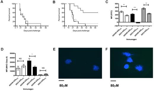 Figure 4. Chemical conjugation of ADX40 to A20-Id is required to achieve antitumor effects. (A) Immunization with ADX40 conjugated to the irrelevant mouse IgG 16.5H2 (gray line) did not enhance mouse survival compared with the vehicle control PBS (black line). (B) In addition, admixing ADX40 with A20-Id (light gray line) was not sufficient to induce antitumor immune responses leading to tumor protection. Chemical conjugation of ADX40 to A20-Id (dark gray line) resulted in significantly increased overall survival compared with admixed ADX40 and A20-Id and PBS (black line). (C) In vitro culture of splenocytes with ADX40-A20FITC and 20C2-A20FITC showed specific uptake of ADX40-A20 FITC through the CD40 receptor, with a significantly increased fluorescence on B cells (black bars), DCs (open bars), and macrophages (hashed bars) compared with isotype control. (D) MHC class II expression was significantly enhanced on B cells (black bars) in response to uptake of ADX40-A20FITC compared with the isotype control. Panels C and D represent 1 experiment with n = 3 of a total of 4 individual experiments carried out. Background fluorescence (cells cultured with concanavalin A) has been subtracted from plotted values in panels C and D. MFI indicates mean fluorescent intensity. *P < .05; **P < .005; and ***P < .0005. (E) Confocal image (40× magnification) showing cells from left draining lymph node (20C2-A20FITC), in which there is no green fluorescence. (F) Confocal image (40× magnification) of cells from the right draining lymph node (ADX40-A20 FITC) showing the presence of green fluorescence in the cytoplasm of lymph cells, indicating specific A20-Id uptake by these cells.