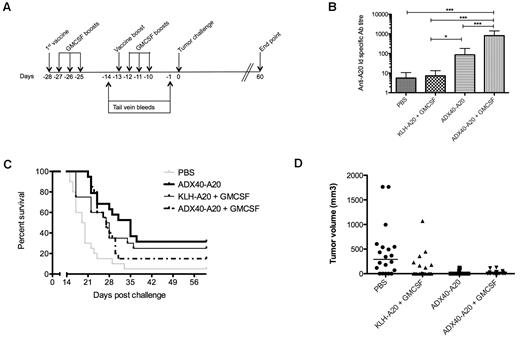 Figure 5. Lack of synergy between ADX40 and GM-CSF. (A) Groups of mice requiring GM-CSF injections were immunized on days −28, −27, −26, −25, −13, −12, −11, and −10. (B) Anti-Id–specific titer after boost (day −1) was significantly increased in ADX40-A20 ± GM-CSF groups compared with the PBS and KLH-A20 + GM-CSF groups (mean ± SD; n = 20). *P < .05; *** P < .0005. (C-D) Kaplan-Meier survival curve shows significantly increased median survival of mice (C) and lower tumor burden (D) of all treatment groups compared with PBS (n = 20). ***P < .0001.