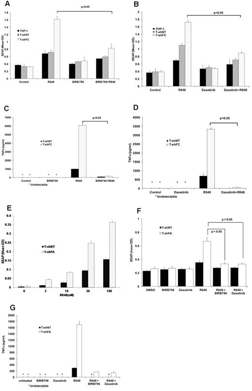 Figure 1. BIRB 796 and dasatinib inhibit NF-κB/AP-1–dependent SEAP production in T-shFC cells. Mean values ± SD are shown. All P values were calculated using the Student t test. (A) BIRB 796 inhibits R848-induced SEAP gene expression in FANCC-deficient cells. THP1-Blue cells (THP1) or THP1-Blue cells stably expressing either control (nontarget) shRNA (T-shNT) or shRNA targeting FANCC (T-shFC) were cultured in medium alone (control) or medium with the TLR7/8 agonist R848 (30μM) alone, BIRB 796 (500nM) alone, or R848 (30μM) alone after a 6-hour pretreatment with BIRB 796 (500nM). Conditioned media were collected after 24 hours of R848 exposure and SEAP was quantified colorimetrically using QUANTI-Blue reagent. (B) Dasatinib inhibits R848-induced SEAP expression in FANCC-deficient cells. The experimental design was identical to that of 1A except that dasatinib (500nM) was used as the inhibitor. (C) BIRB 796 inhibits TNFα secretion in THP-1 cells. T-shNT and T-shFC were treated as in panel A with BIRB 796 (500nM) and/or R848 (30μM). Conditioned media were collected after 24 hours of incubation with R848 and TNFα was quantified by ELISA. Untreated cells or cells treated only with BIRB 796 did not produce detectable TNFα (indicated with an asterisk). (D) Dasatinib inhibits TNFα secretion in THP-1 cells. T-shNT and T-shFC cells were treated as in panel B with R848 (30μM) and dasatinib (500nM). Untreated cells or cells treated with dasatinib alone did not produce detectable TNFα (indicated with an asterisk). (E) FANCA-deficient THP-1 cells are hypersensitive to R848. THP1-Blue cells stably expressing shRNA targeting FANCA (T-shFA) and T-shNT cells were exposed to R848 (0-100μM) for 24 hours. Supernatant media were collected and SEAP was quantified colorimetrically using QUANTI-Blue reagent. At each dose of R848, T-shFA cells produced more SEAP than did T-shNT cells (P < .05). (F) BIRB 796 and dasatinib suppress the production of SEAP in both T-shFA and T-shNT cells. The design of these studies on T-shFA cells was identical to that of studies on T-shFC cells (A-B). (G) BIRB 796 and dasatinib suppress TNFα production in R848-stimulated T-shFA and T-shNT cells. The design of these studies on T-shFA cells was identical to that used with T-shFC cells (C-D).