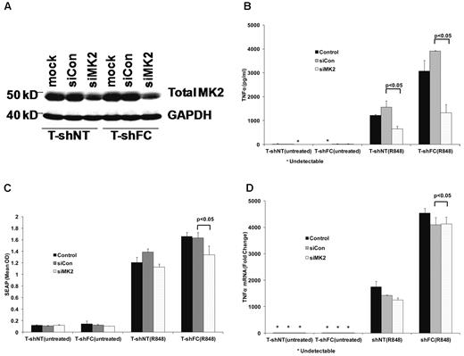 Figure 6. MK2 regulates TNFα production posttranscriptionally. T-shFC and T-shNT cells were transfected with nontargeted siRNAs (siCon) or siRNA targeting MK2 (siMK2) by nucleofection. Cells were also subjected to nucleofection without siRNA present (mock). At the time of maximal MK2 knockdown (72 hours), the cells were stimulated with R848 (30μM) for 24 hours or were left untreated. (A) MK2 suppression (lanes 3 and 6) was confirmed by Western blot of whole-cell extracts 72 hours after nucleofection. (B) TNFα protein in supernatant media was quantified by ELISA 24 hours after R848 stimulation. siMK2 suppressed TNFα levels produced by both T-shFC and T-shNT cells and the degree of suppression matched the degree of MK2 knockdown with RNAi (6A). (C) SEAP expression, as quantified by QUANTI-Blue, was minimally suppressed by siMK2. (D) TNFα mRNA measured 24 hours after R848 stimulation by real-time qRT-PCR revealed no suppression by treatment of cells with siMK2. Therefore, MK2 suppression inhibited TNFα production and/or release, but not SEAP or TNFα gene transcription in T-shFC cells.