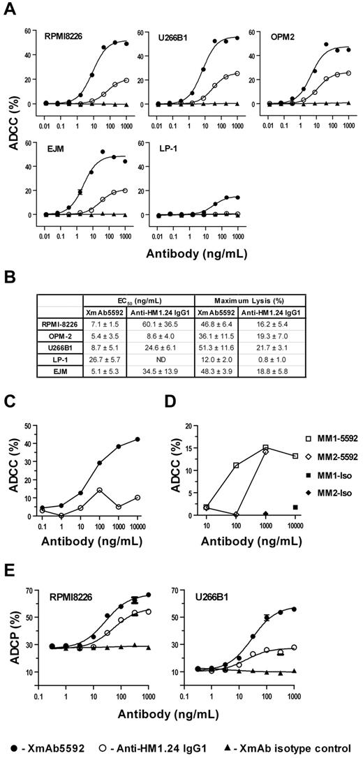 Figure 1. XmAb5592 has significantly improved ADCC and ADCP activity against MM cells. (A) ADCC was measured with an LDH release assay using PBMCs from healthy donors as effector cells, and MM target cells. MM cells, opsonized with serial dilutions of antibodies, were mixed with PMBCs at an effector/target (E/T) ratio of 50:1. Percentage specific lysis was calculated from data obtained in triplicate, and presented as mean ± SD. XmAb5592 significantly augmented ADCC relative to the IgG1 analog against all cell lines, in contrast to XmAb isotype control inducing no cell lysis. (B) The EC50 and maximum specific lysis were calculated from data obtained from 3 independent experiments using 3 separate donor PBMCs. XmAb5592 potency was enhanced up to 9 fold, and efficacy improved up to 15 fold compared with the anti-HM1.24 IgG1 analog. (C-D) Autologous ADCC activity against CD138+ patient MM cells was determined using purified NK cells from the same patient. Calcein-AM labeled patient MM cells were incubated with CD56+ NK cells at an E/T ratio of 10:1. (C) XmAb5592 enhanced potency and efficacy against patient MM cells compared with the IgG1 analog. (D) Specific XmAb5592-induced (open symbol) autologous MM cell lysis was determined in 2 additional patients (MM1 & MM2) with XmAb isotype control (solid symbol) showing no activity. (E) Antibody dependent cellular phagocytosis (ADCP) was determined by flow cytometry using MM cells as targets, and monocyte-derived macrophages (MDM) as effector cells. MM cells were fluorescently labeled with PKH67, opsonized with antibodies, and cocultured with MDMs at an E/T ratio of 4:1 for 4 hours. Percent phagocytosis was determined as the number of triple positive (CD14+/CD11B+/PKH67+) cells divided by the total number of PKH67+ cells. Data were obtained in triplicate and represent the mean ± SD.