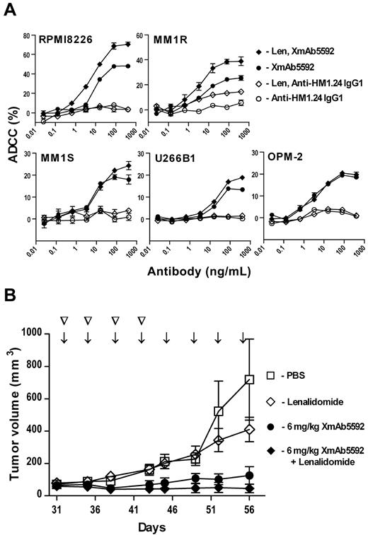 Figure 5. Lenalidomide further enhances XmAb5592 induced anti-myeloma activity both in vitro and in vivo. (A) PBMCs were preincubated with or without lenalidomide (2μM) for 48 hours before LDH release-based ADCC assays against target MM cells. Percent specific lysis is shown, as mean ± SD from triplicate measurements. Lenalidomide pretreatment significantly enhanced improved ADCC activity of XmAb5592 than the IgG1 analog. (B) RPMI8226 tumor-bearing mice (n = 5) were treated with PBS, lenalidomide alone, XmAb5592 alone, or XmAb5592 plus lenalidomide. Lenalidomide (25 mg/kg) was injected intraperitoneally twice weekly for 4 doses (▽). XmAb5592 (6 mg/kg) was injected intraperitoneal twice weekly for a total of 8 doses (↓). Combination treatment with XmAb5592 and lenalidomide was more efficacious than either of the treatments alone (day 56 MTV = 46, 127 and 411 mm3 for the combination, XmAb5592 alone and lenalidomide alone, respectively).