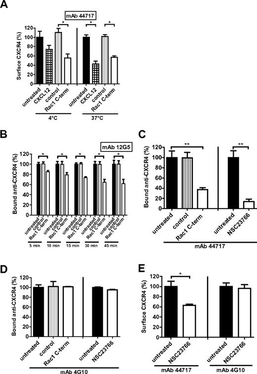 Figure 3. Rac1 inhibition alters CXCR4 conformation. (A) HL60 cells were incubated with CXCL12 or the Rac1 inhibitory peptide at 4°C or 37°C and the CXCR4 surface signal (detected by mAb 44717) was measured by flow cytometry (n = 3). (B) Antibody-feeding experiments where HL60 cells were first stained with anti-CXCR4 mAb 12G5 and subsequently incubated with the Rac1 inhibitory peptide for different time periods. mAb signal was then measured by flow cytometry (n = 3). (C) Antibody-feeding experiments for which HL60 cells were first stained with anti-CXCR4 mAb 44717 and subsequently incubated with the Rac1 inhibitory peptide for 30 minutes or NSC23766 for 1 hour. mAb signal was subsequently measured by flow cytometry (n = 3). (D) Antibody-feeding experiments for which HL60 cells were first stained with the conformation-independent anti-CXCR4 mAb 4G10 and subsequently incubated with the Rac1 inhibitory peptide for 30 minutes or NSC23766 for 1 hour. mAb signal was subsequently measured by flow cytometry (n = 3). (E) HL60 cells were treated with NSC23766 and CXCR4 surface signal (detected by mAb 44717 or 4G10) was measured (n = 3). Bars show the mean fluorescence intensity determined by flow cytometry and expressed as percentage ± SEM compared with untreated or control conditions (*P < .05, **P < .01).