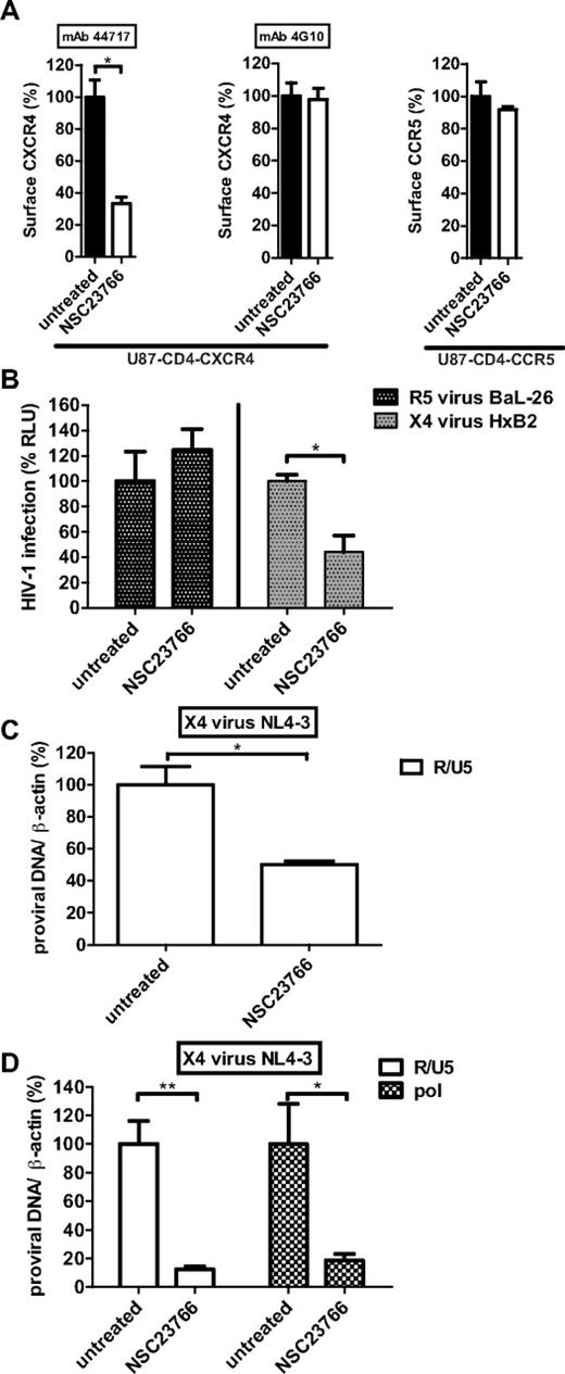 Figure 5. HIV-1 infection is blocked after CXCR4 conformational change. (A) U87-CD4-CXCR4 and U87-CD4-CCR5 cells were incubated with NSC23766 and CXCR4 (detected by mAb 44717 or 4G10) and CCR5 (detected by mAb 2D7) surface signals were measured. Bars show the mean fluorescence intensity determined by flow cytometry and expressed as percentage ± SEM compared with untreated conditions (n = 3). (B) U87-CD4-CXCR4, and U87-CD4-CCR5 cells were inoculated, in the presence or absence of NSC23766, with the single round luciferase reporter HIV-1 pseudotyped with the X4-using envelope HxB2 or the R5-using envelope BaL-26, respectively. Forty-eight hours later, the infectivity of the virus was analyzed by the luciferase assay. Bars show the luciferase activity measured by a microplate luminometer and expressed as percentage ± SEM compared with untreated conditions (n = 3). (C) U87-CD4-CXCR4 cells were inoculated with the X4-virus NL4-3 in the presence or absence of NSC23766. After 48 hours, DNA samples were isolated and the early reverse transcriptase product R/U5 was quantified by qPCR. Bars show the number of proviral DNA copies corrected for differences in DNA input (β-actin) and expressed as percentage ± SEM compared with untreated conditions (n = 3). (D) PHA-stimulated PBMCs were inoculated with the X4-virus NL4-3 in the presence or absence of NSC23766. After 48 hours, DNA samples were isolated and R/U5 and pol proviral DNA were quantified by qPCR. Bars show the number of proviral DNA copies corrected for differences in DNA input (β-actin) and expressed as percentage ± SEM compared with untreated conditions (n = 4; *P < .05, **P < .01).