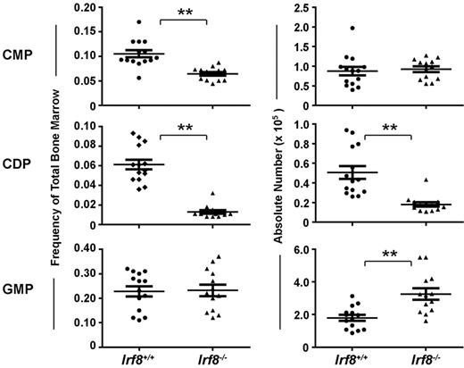 Figure 2. Irf8−/− mice have reduced numbers of CDPs and increased numbers of GMPs. Progenitor cells in the BM of Irf8−/− and wild-type mice were analyzed by flow cytometry. Graphs show the frequency (left) and absolute number (right) of common myeloid progenitor (CMP), GMP, and CDP. Horizontal lines indicate the mean and error bars show SEM. Each data point represents one mouse, with data for 14 wild-type and 13 IRF8−/− shown; **P < .05.