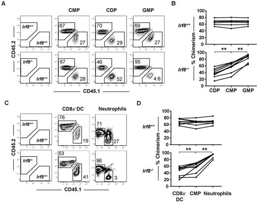 Figure 3. IRF-8 drives DC commitment in a cell-intrinsic manner. Competitive mixed BM chimeras were carried out by injecting 2 × 106 B6.SJL (CD45.1+) wild-type whole BM cells with Irf8−/− or wild-type (CD45.2+) BM that were matched for HSC numbers into 800 cGy-irradiated (C57BL/6 × B6.SJL) F1 recipients (CD45.1+CD45.2+). Seven weeks after transplantation, BM and spleens were harvested, and progenitor, DC, and neutrophil development was analyzed by flow cytometry. (A,C) Representative plots showing CD45.2 and CD45.1 chimerism in one representative mouse. Graphs show (B) chimerism of common myeloid progenitor (CMPs), CDPs, and GMPs or (D) splenic CD8α− DC and BM neutrophils from wild-type (top) or Irf8−/− (bottom) reconstituted mice. Each point represents 1 mouse, with lines connecting values in a single mouse. Data are pooled from 3 experiments of 1-4 mice per group. Data for all 9 mice in each group are shown; **P < .05 based on paired students 2-tailed t test.