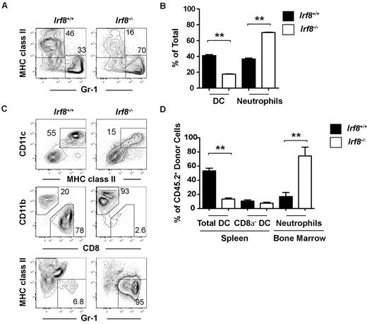 Figure 4. Common myeloid progenitors from Irf8−/− mice overproduce neutrophils at the expense of DCs in vitro and in vivo. Common myeloid progenitors (CMP) were double-sorted from the BM of Irf8−/− or wild-type controls. (A-B) One thousand progenitors were cultured for 7 days in the presence of Flt3 ligand, IL-3, GM-CSF, and SCF (all 10 ng/mL). DC and neutrophil output was analyzed by flow cytometry. Data show averages from 5 wells and represent 3 independent assays. (C-D) Four thousand common myeloid progenitors from Irf8+/+ or Irf8−/− were injected intravenously into each 800 cGy-irradiated (C57BL/6 × B6.SJL) F1 recipient (CD45.1+CD45.2+). BM and spleens were harvested 10 days after transplantation and the development of DCs and neutrophils was analyzed by flow cytometry. Data shown are for 6 mice in each experimental line pooled from 2 independent experiments with 3 mice per group; **P < .05.